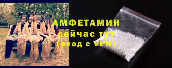 шишки Арсеньев