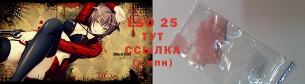 шишки Арсеньев