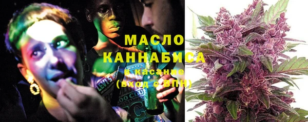 шишки Арсеньев