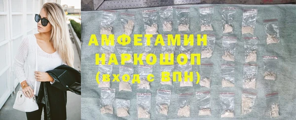 шишки Арсеньев