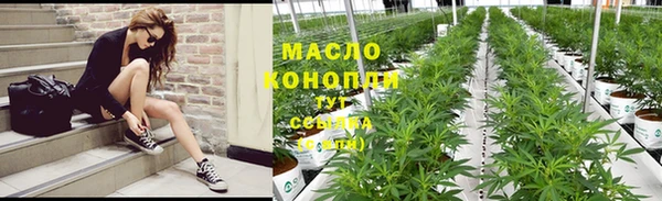 шишки Арсеньев
