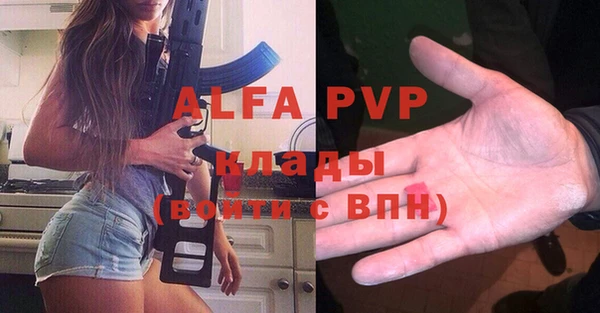 шишки Арсеньев