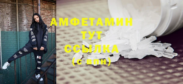 шишки Арсеньев