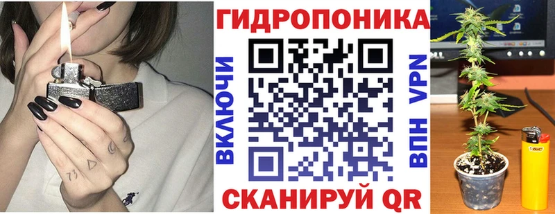 Бошки марихуана индика Кочубеевское